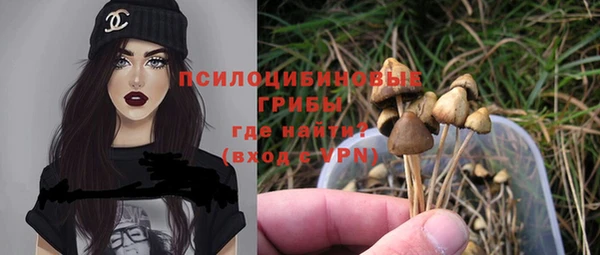 винт Беломорск
