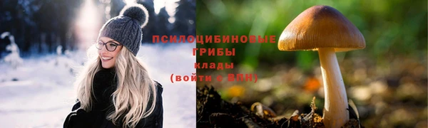 винт Беломорск